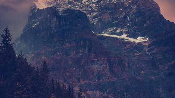 neil-rosenstech-467457-unsplash